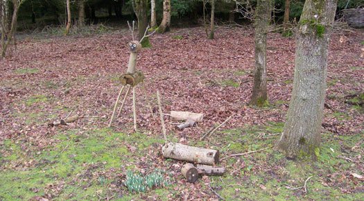 Deer Remains - Photo 1