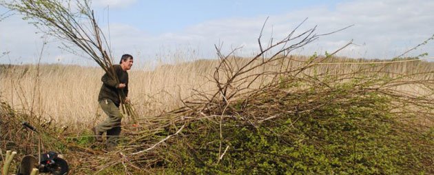 Vic Clearing The Area In Front Of The Reed Bed