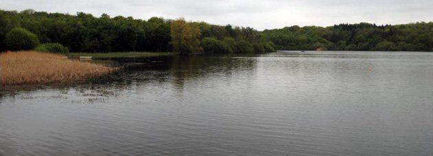 Reservoir View