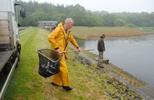 Bibury Fish Delivery