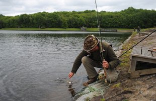 Catch and Release - Photo 3