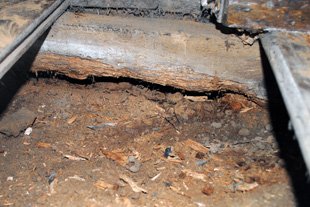 Floor Repairs - Photo 2