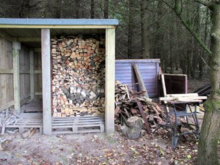 Shed 4