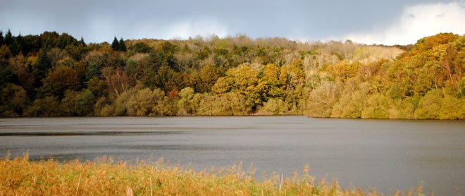 Autumn Colours at Powdermill Reservoir