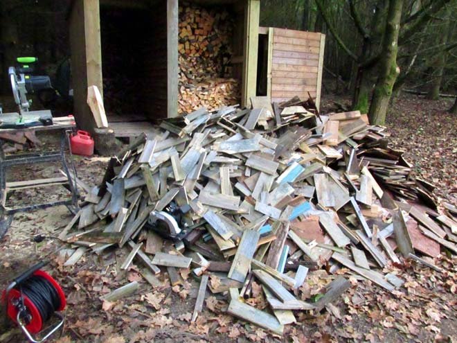 Growing Timber Pile