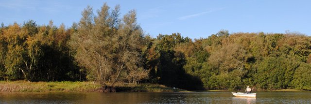 Autumn Colours - Photo 2