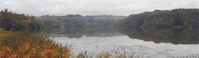 View from the Dam