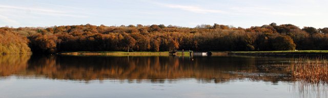View of the far bank from the jetty on 1st December