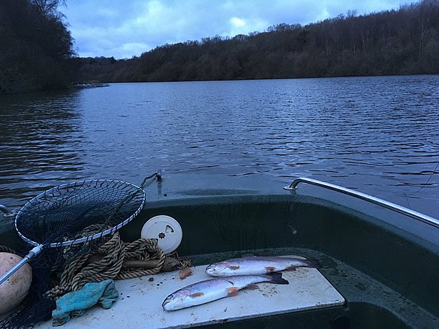 December Catch